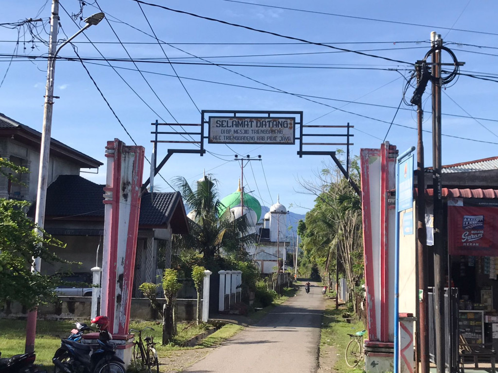 Gerbang Masuk Gampong Mesjid Trienggadeng